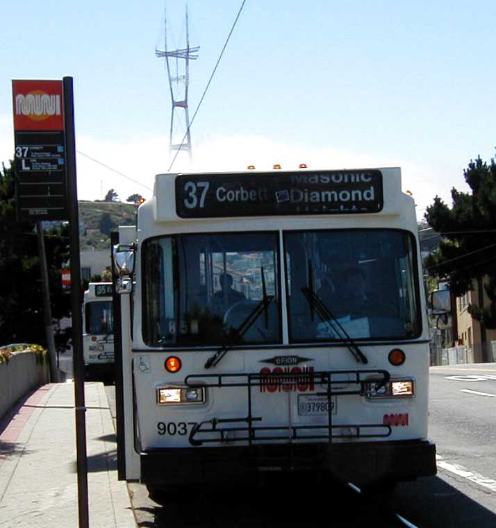 San Francisco MUNI Orion I Citycruiser 9037